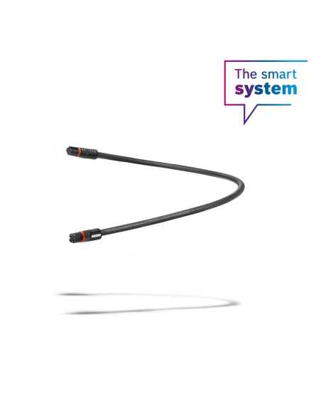 Cable de display de 100 mm (BCH3611_100)