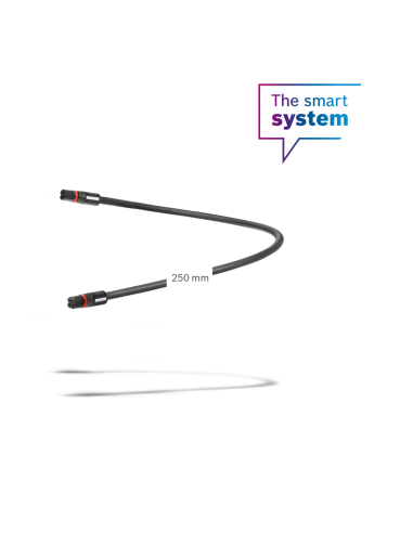Cable de display de 250 mm (BCH3611_250)