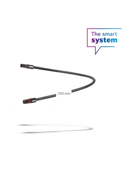 Cable de display de 250 mm (BCH3611_250)