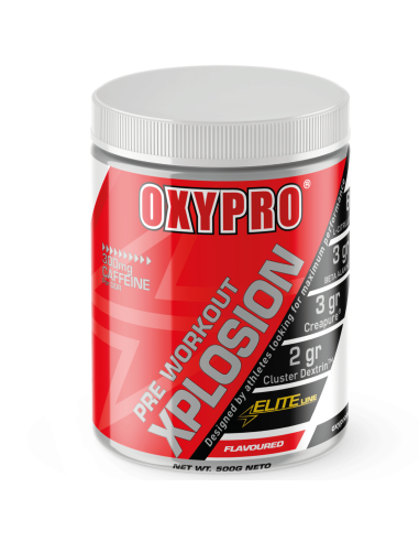 Pre-Entreno (500g) | 33bike.es