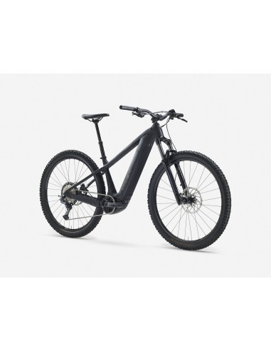 Bicicleta Eléctrica Trek Powerfly+ 6 Gen 5 | 33bike